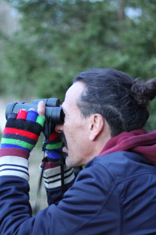 Stockholm: Wildlife Safari - A campfire dinner in the woods