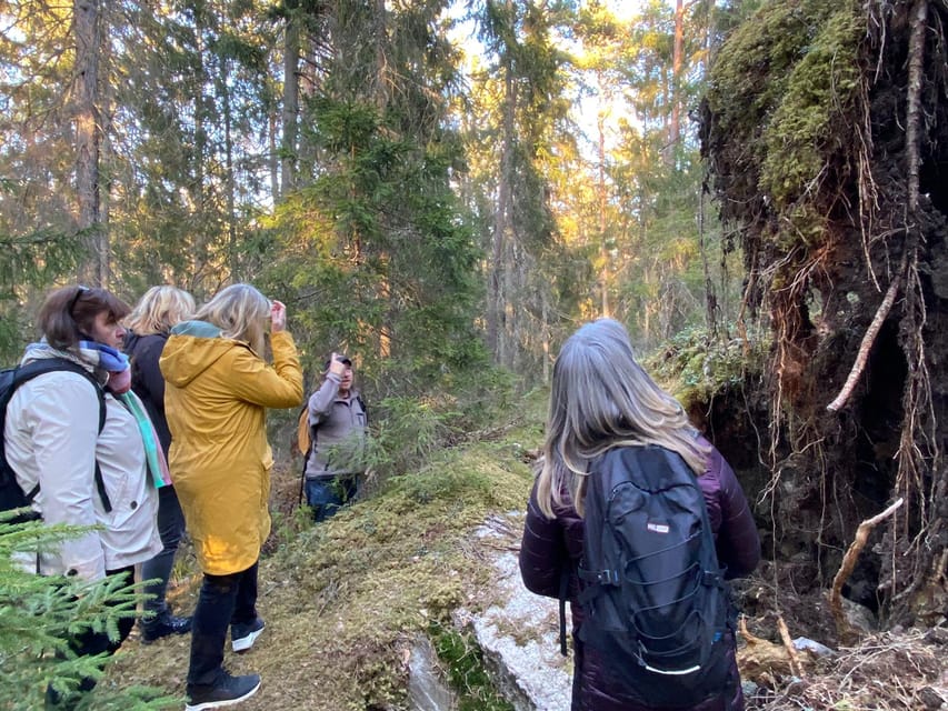 Stockholm: Wildlife Safari - Is $151 a fair price?