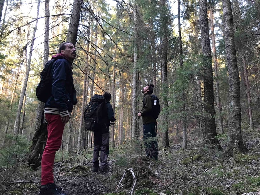 Stockholm: Wildlife Safari - Who will enjoy this safari most?