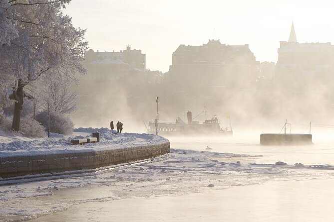 Stockholm Winter Boat Tour with Guide - Key points to know before booking