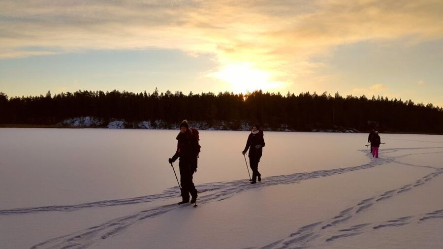 Stockholm: Winter Snowshoe Full-Day Hike - From Stockholm streets to a snowy forest