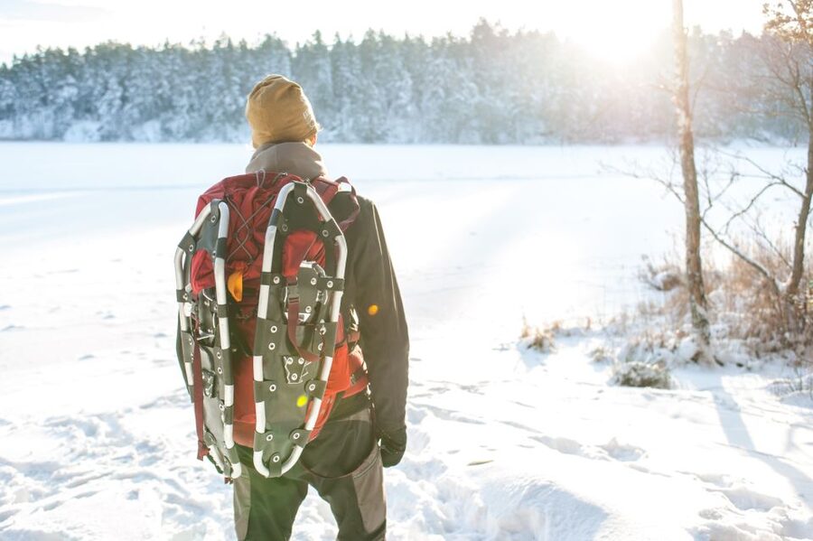 Stockholm: Winter Snowshoe Full-Day Hike - Should you book the snowshoe hike?