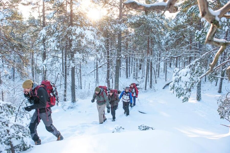 Stockholm: Winter Snowshoe Full-Day Hike - A campfire lunch that gives the day a center