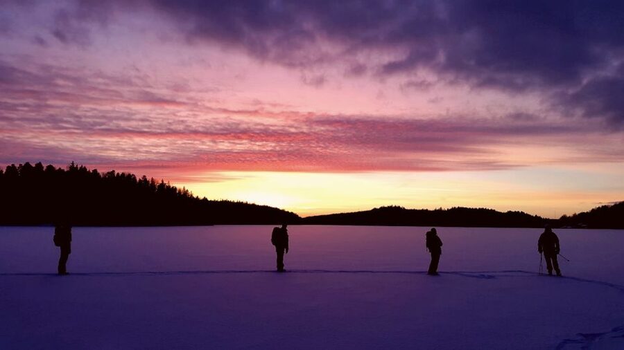 Stockholm: Winter Snowshoe Full-Day Hike - Who should book this Stockholm winter outing?