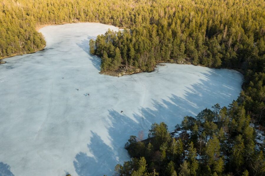 Stockholm: Winter Snowshoe Full-Day Hike - Forest trails, deer tracks, and frozen lakes