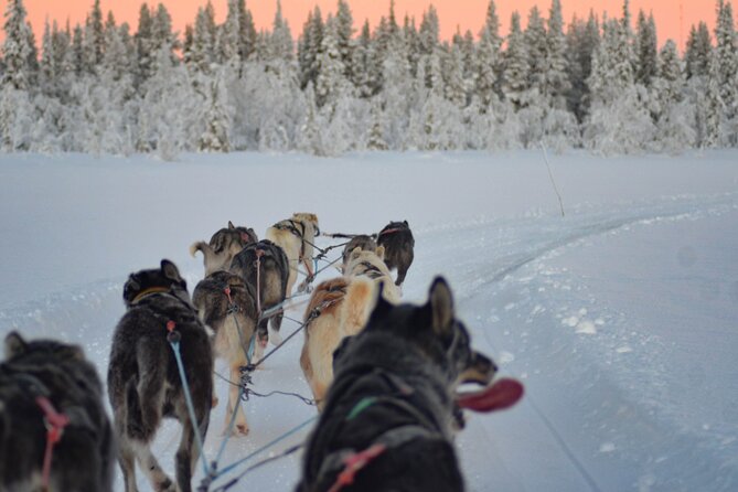 Sunrise Zen Husky Tour (10:00 to 13:00 - sitting on the sled) - Pickup times and the Kiruna hotel stops