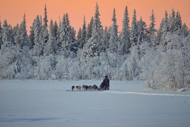 Sunrise Zen Husky Tour (10:00 to 13:00 - sitting on the sled) - Cold-weather gear is useful, but not magic