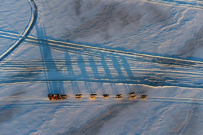 Sunrise Zen Husky Tour (10:00 to 13:00 - sitting on the sled) - Is the $264.52 price fair?