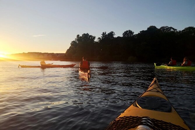 Sunset Kayak Tour in Central Stockholm and Swedish Fika - Starting at Smedsuddsvägen 23