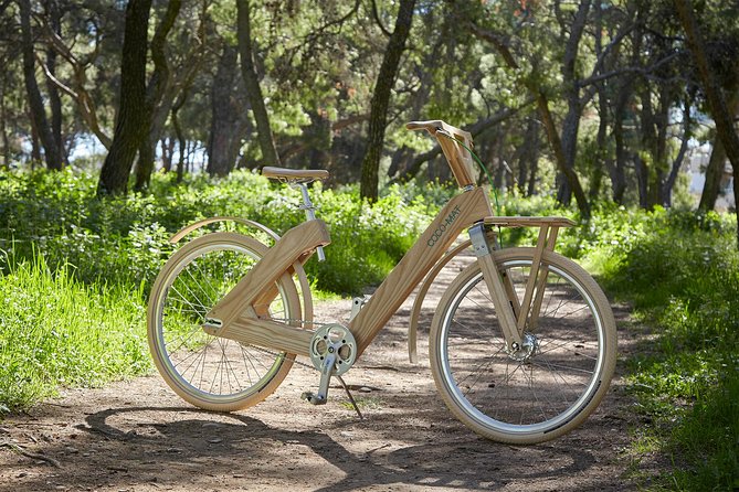 The Wooden Bicycle Tour in Stockholm - Two hours from Rådhuset into central Stockholm