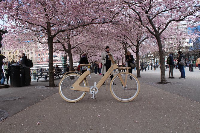 The Wooden Bicycle Tour in Stockholm - Weather can decide the day