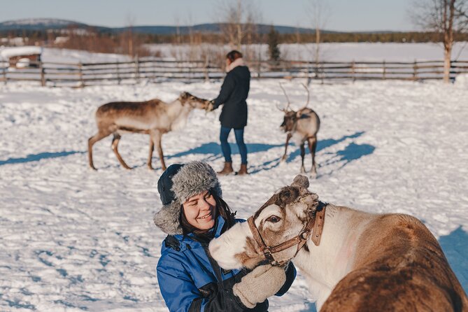 Visit the Sami and Reindeer in a Day Trip from Abisko - From Abisko and Björkliden to Jukkasjärvi