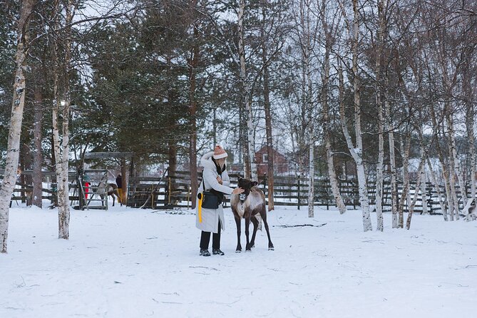 Visit the Sami and Reindeer in a Day Trip from Abisko - Handicrafts and the local connection