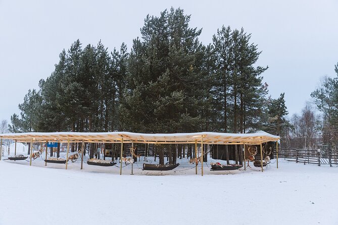 Visit the Sami and Reindeer in a Day Trip from Abisko - Cold-weather planning matters