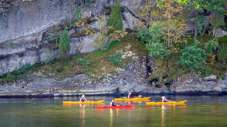 West Sweden: Sea Kayak Delight in Nature Reserves - Who should book this coastal outing?