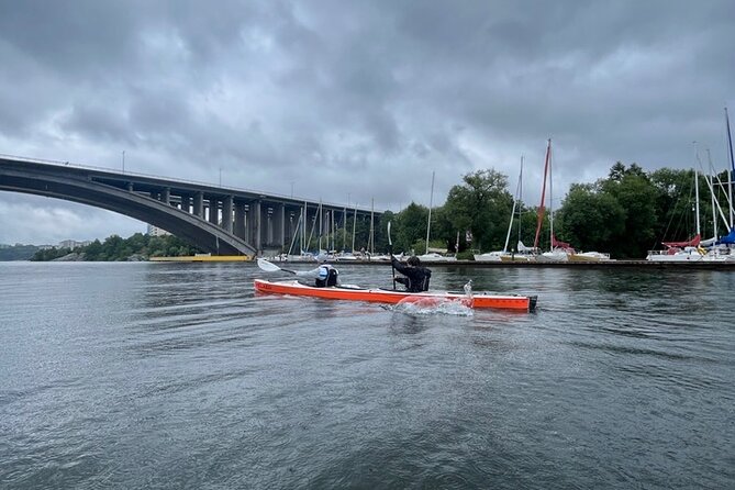 Winter Kayak Tour in Stockholm City (Dry Suit Kayaking) - Is the winter kayak tour worth booking?