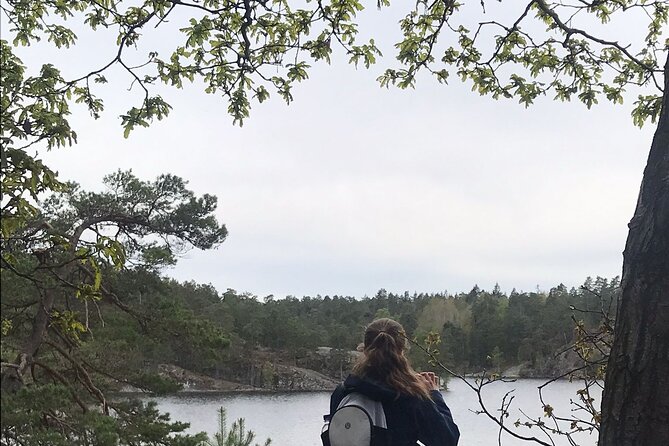 Wolf and Wildlife Tracking in Sweden - Meeting at Tideliusgatan 62 in Stockholm